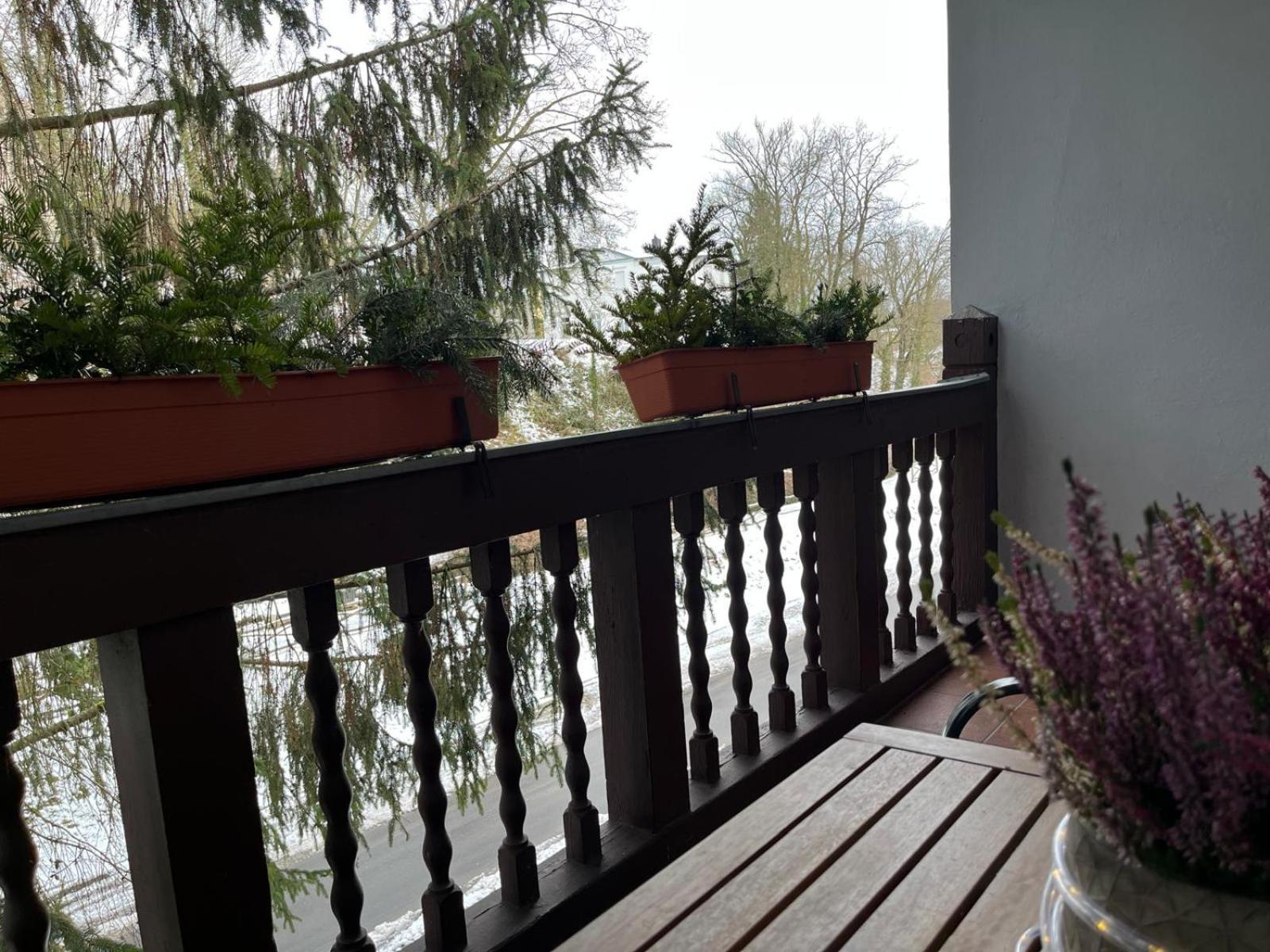 Villa Regina Bad Freienwalde Eksteriør billede